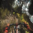 Icon des Programms: MTBFreeride