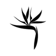 Icon des Programms: Beauty Society