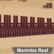 Ikona programu: Marimba Xylophone Vibraph…