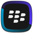 プログラムのアイコン: BlackBerry Link