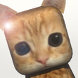 Icône du programme : Ay Mi Gatito