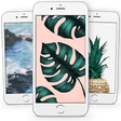 Icon des Programms: Tropical Wallpapers