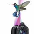 Icon des Programms: Corel AfterShot Pro for L…