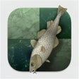 Ikona programu: Stockfish Chess