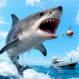 Icon des Programms: Yacht  Catch: Fishing Gam…