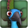 Icon des Programms: Pet Peacock