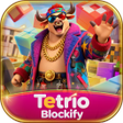Icon des Programms: Tetrio Blockify