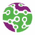 Icon des Programms: Kronymous for Chrome