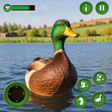 Icon des Programms: Ultimate Duck Family Sim