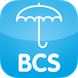 Icono del programa: BCS O…