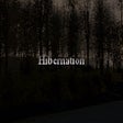 程序图标: Hibernation