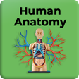 プログラムのアイコン: Human Anatomy and Physiol…