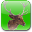 Icon des Programms: Trophy Hunter