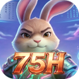 Icon des Programms: 75HBlink