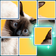 Icône du programme : JigSolve Jigsaw Picture P…