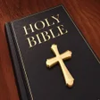 プログラムのアイコン: Holy Bible- English, Hind…