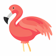 Ikona programu: Flamingo Animator