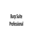 Icon des Programms: Burp Suite Professional