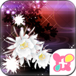 Icon des Programms: Moonlit Beauty for[+]HOME