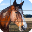 プログラムのアイコン: Beautiful Horses Puzzle