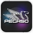 Icon des Programms: Pegaso Plus