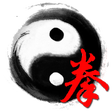 Icône du programme : 自學太極拳