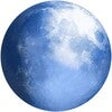 Ikona programu: Pale Moon