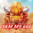 Icon des Programms: SKM M9 666