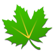 Icon des Programms: Greenify