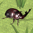 プログラムのアイコン: Bug Battle Simulator 3D