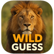プログラムのアイコン: Wild Guess