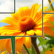 Icon des Programms: Jigsaw Paradise