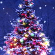 Ikona programu: Christmas Live Wallpaper