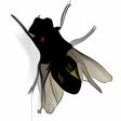 Ikona programu: Fly on De…