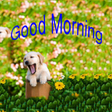 Icon des Programms: Good Morning Weekly Greet…