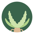 Ikona programu: Aloe Bud