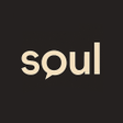 Icône du programme : DigitalSoul - AI Chat Rol…