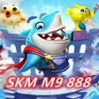 Icon des Programms: SKM M9 888