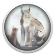 Icon des Programms: Shelter 2 Complete Editio…