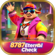 Ikona programu: 8787Eternal Check