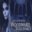 プログラムのアイコン: Last Look along Woodward …