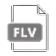 Icône du programme : FLV Player for Chrome