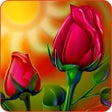 Icon des Programms: Rose Wallpaper