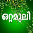 Icône du programme : Ottamoolikal Malayalam