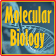 Icon of program: Basic Molecular Biology