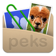 Icon des Programms: Peks