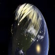 Ikona programu: Nuclear War Simulator