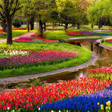 Icon des Programms: Garden Wallpapers HD