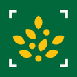 程序图标: Morrisons Scan  Shop