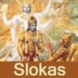 プログラムのアイコン: Bhagavad Gita sloka Recit…